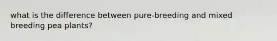 what is the difference between pure-breeding and mixed breeding pea plants?