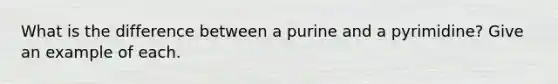 What is the difference between a purine and a pyrimidine? Give an example of each.