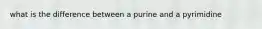 what is the difference between a purine and a pyrimidine