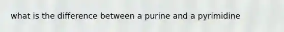 what is the difference between a purine and a pyrimidine