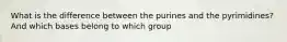 What is the difference between the purines and the pyrimidines? And which bases belong to which group