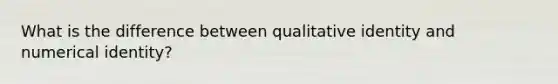 What is the difference between qualitative identity and numerical identity?