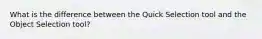 What is the difference between the Quick Selection tool and the Object Selection tool?