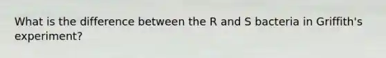 What is the difference between the R and S bacteria in Griffith's experiment?