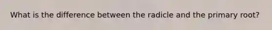 What is the difference between the radicle and the primary root?