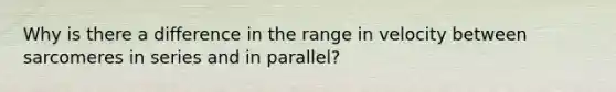 Why is there a difference in the range in velocity between sarcomeres in series and in parallel?