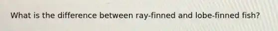 What is the difference between ray-finned and lobe-finned fish?