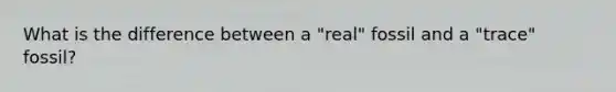 What is the difference between a "real" fossil and a "trace" fossil?