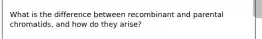 What is the difference between recombinant and parental chromatids, and how do they arise?