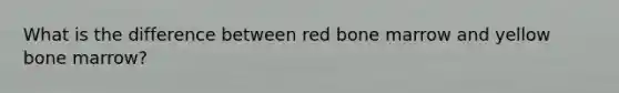 What is the difference between red bone marrow and yellow bone marrow?