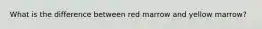 What is the difference between red marrow and yellow marrow?