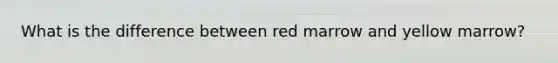 What is the difference between red marrow and yellow marrow?