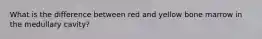 What is the difference between red and yellow bone marrow in the medullary cavity?