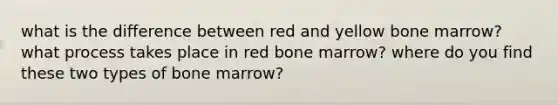 what is the difference between red and yellow bone marrow? what process takes place in red bone marrow? where do you find these two types of bone marrow?