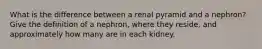 What is the difference between a renal pyramid and a nephron? Give the definition of a nephron, where they reside, and approximately how many are in each kidney.