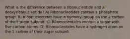 What is the difference between a ribonucleotide and a deoxyribonucleotide? A) Ribonucleotides contain a phosphate group. B) Ribonucleotides have a hydroxyl group on the 2 carbon of their sugar subunit. C) Ribonucleotides contain a sugar with five carbon atoms. D) Ribonucleotides have a hydrogen atom on the 1 carbon of their sugar subunit.