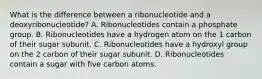 What is the difference between a ribonucleotide and a deoxyribonucleotide? A. Ribonucleotides contain a phosphate group. B. Ribonucleotides have a hydrogen atom on the 1 carbon of their sugar subunit. C. Ribonucleotides have a hydroxyl group on the 2 carbon of their sugar subunit. D. Ribonucleotides contain a sugar with five carbon atoms.