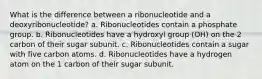 What is the difference between a ribonucleotide and a deoxyribonucleotide? a. Ribonucleotides contain a phosphate group. b. Ribonucleotides have a hydroxyl group (OH) on the 2 carbon of their sugar subunit. c. Ribonucleotides contain a sugar with five carbon atoms. d. Ribonucleotides have a hydrogen atom on the 1 carbon of their sugar subunit.