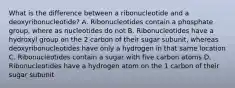 What is the difference between a ribonucleotide and a deoxyribonucleotide? A. Ribonucleotides contain a phosphate group, where as nucleotides do not B. Ribonucleotides have a hydroxyl group on the 2 carbon of their sugar subunit, whereas deoxyribonucleotides have only a hydrogen in that same location C. Ribonucleotides contain a sugar with five carbon atoms D. Ribonucleotides have a hydrogen atom on the 1 carbon of their sugar subunit