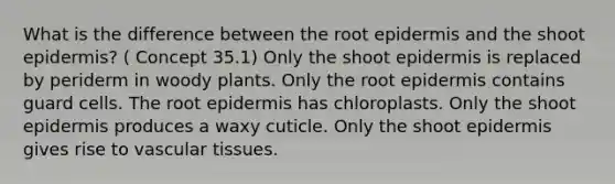 What is the difference between the root epidermis and the shoot epidermis? ( Concept 35.1) Only the shoot epidermis is replaced by periderm in woody plants. Only the root epidermis contains guard cells. The root epidermis has chloroplasts. Only the shoot epidermis produces a waxy cuticle. Only the shoot epidermis gives rise to <a href='https://www.questionai.com/knowledge/k1HVFq17mo-vascular-tissue' class='anchor-knowledge'>vascular tissue</a>s.