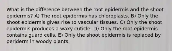 What is the difference between the root epidermis and the shoot epidermis? A) The root epidermis has chloroplasts. B) Only the shoot epidermis gives rise to vascular tissues. C) Only the shoot epidermis produces a waxy cuticle. D) Only the root epidermis contains guard cells. E) Only the shoot epidermis is replaced by periderm in woody plants.