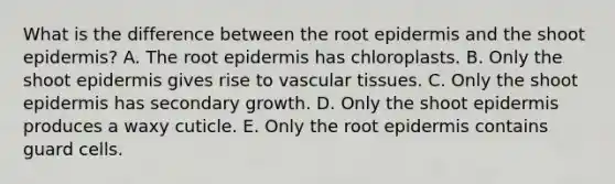 What is the difference between the root epidermis and the shoot epidermis? A. The root epidermis has chloroplasts. B. Only the shoot epidermis gives rise to vascular tissues. C. Only the shoot epidermis has secondary growth. D. Only the shoot epidermis produces a waxy cuticle. E. Only the root epidermis contains guard cells.