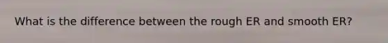 What is the difference between the rough ER and smooth ER?