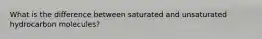 What is the difference between saturated and unsaturated hydrocarbon molecules?