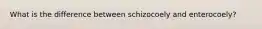 What is the difference between schizocoely and enterocoely?