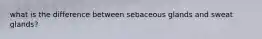 what is the difference between sebaceous glands and sweat glands?