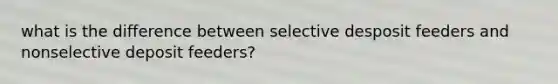 what is the difference between selective desposit feeders and nonselective deposit feeders?