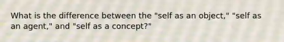 What is the difference between the "self as an object," "self as an agent," and "self as a concept?"