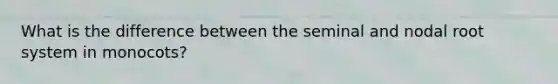 What is the difference between the seminal and nodal root system in monocots?