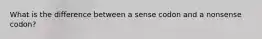What is the difference between a sense codon and a nonsense codon?