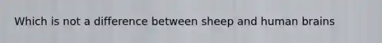 Which is not a difference between sheep and human brains