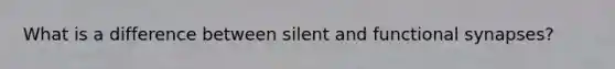 What is a difference between silent and functional synapses?