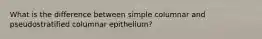 What is the difference between simple columnar and pseudostratified columnar epithelium?