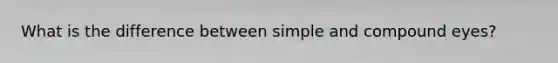 What is the difference between simple and compound eyes?