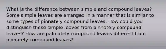 What is the difference between simple and compound leaves? Some simple leaves are arranged in a manner that is similar to some types of pinnately compound leaves. How could you distinguish these simple leaves from pinnately compound leaves? How are palmately compound leaves different from pinnately compound leaves?