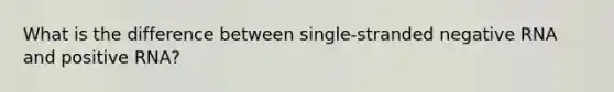 What is the difference between single-stranded negative RNA and positive RNA?
