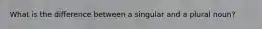 What is the difference between a singular and a plural noun?