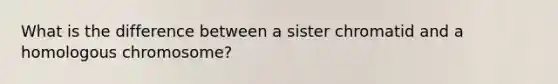 What is the difference between a sister chromatid and a homologous chromosome?