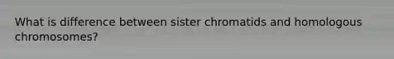 What is difference between sister chromatids and homologous chromosomes?