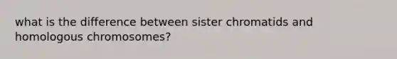 what is the difference between sister chromatids and homologous chromosomes?