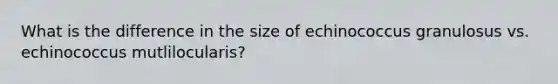 What is the difference in the size of echinococcus granulosus vs. echinococcus mutlilocularis?