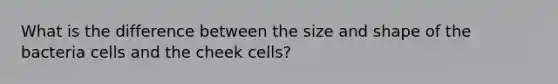 What is the difference between the size and shape of the bacteria cells and the cheek cells?