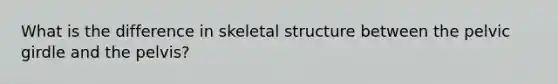 What is the difference in skeletal structure between the pelvic girdle and the pelvis?