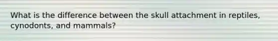 What is the difference between the skull attachment in reptiles, cynodonts, and mammals?