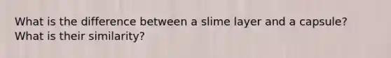 What is the difference between a slime layer and a capsule? What is their similarity?