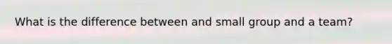 What is the difference between and small group and a team?